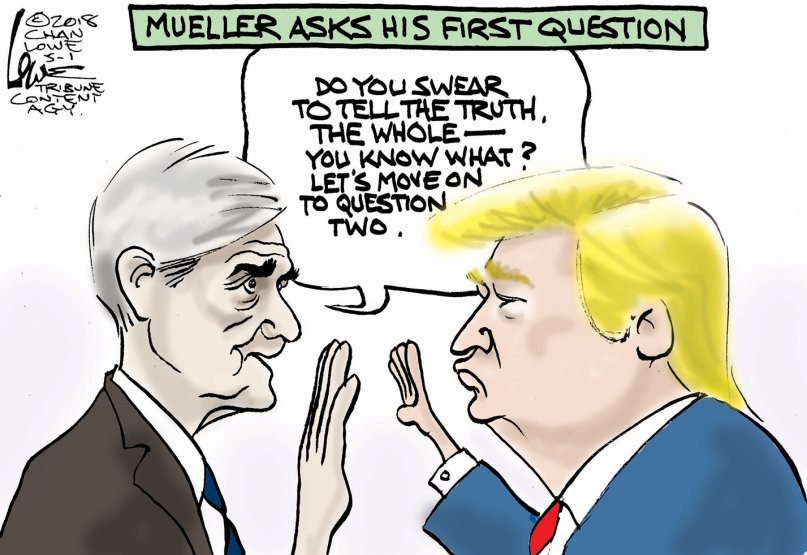 Cartoon: "Mueller asks his first question" - Democratic Underground