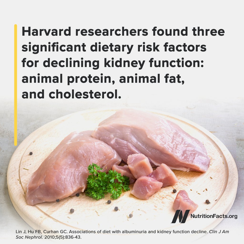 nutrition_facts's tweet photo. Kidney failure may be both prevented and treated with a plant-based diet—and no wonder; kidneys are highly vascular organs. Learn “How Not to Die from Kidney Disease” on https://t.co/ZgE3qD1kYd: https://t.co/V82rHGarN6 https://t.co/rTaJwrjfmE