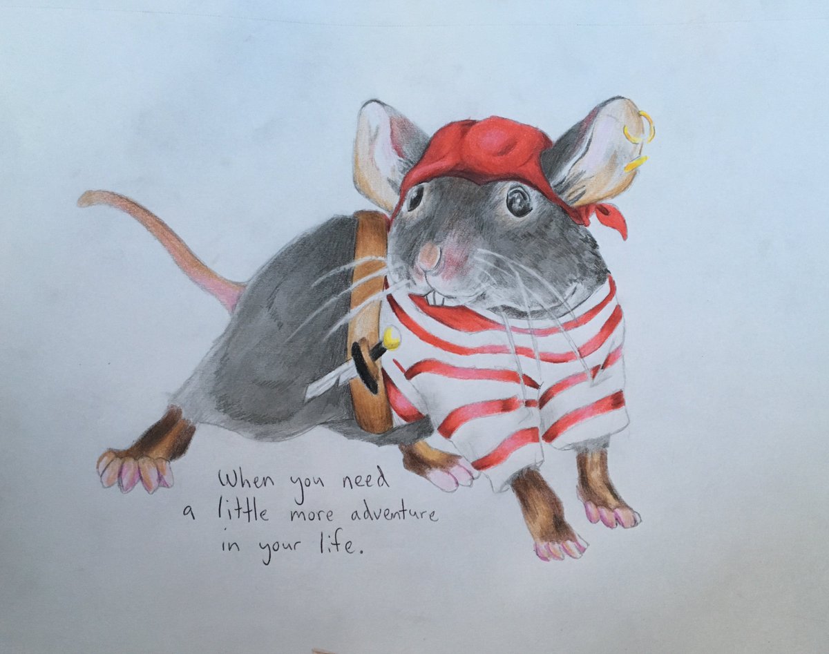TheOuterGrounds's tweet photo. Adorable swashbuckler by OGS member Humfergoo #art #drawing #illustration #handdrawing #handsketched #handdrawnillustration #handcolored #handcoloring #coloredpencils #rat #mouse #pirate #piratemouse #piratehat #piratesword #pirateclothes #mouseart #animalart #pirateart https://t.co/8RjdAgWOlj