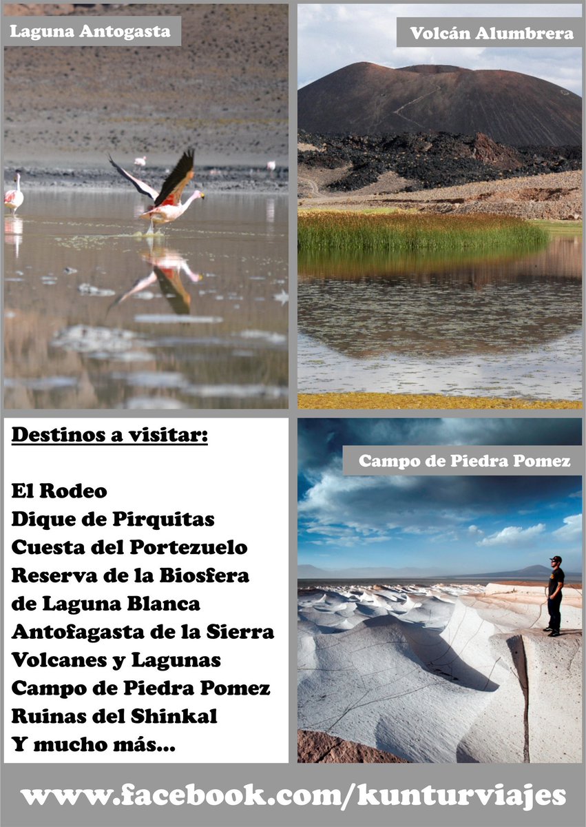 Freetourscata's tweet photo. Quieres conocer algo increíble? Ven a conocer la Puna Catamarqueña! 

#volcanes #Lagunas #Vicuñas #Parinas #Cóndores #Cuestas #Vistaspanoramicas #RuinasArqueologicas además de una experiencia increíble! 

No dejes de consultar... quedan sólo 2 semanas para reservar. https://t.co/2eNBTGuFHh