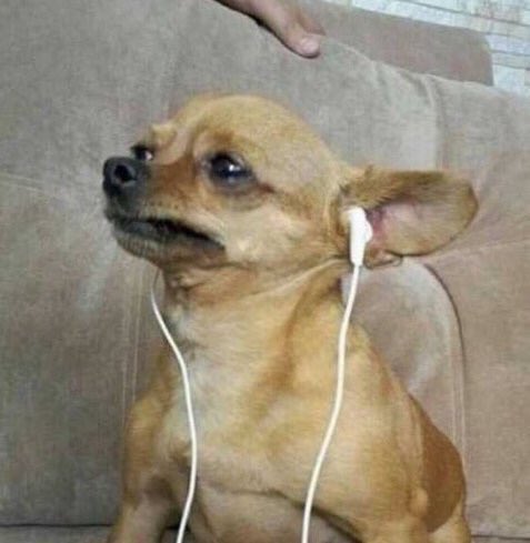 httste's tweet image. 