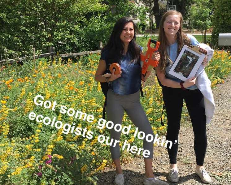 ucdavis's tweet image. Spend a day doing field research with our students on Snapchat! bit.ly/UCDSnap  #Ecology