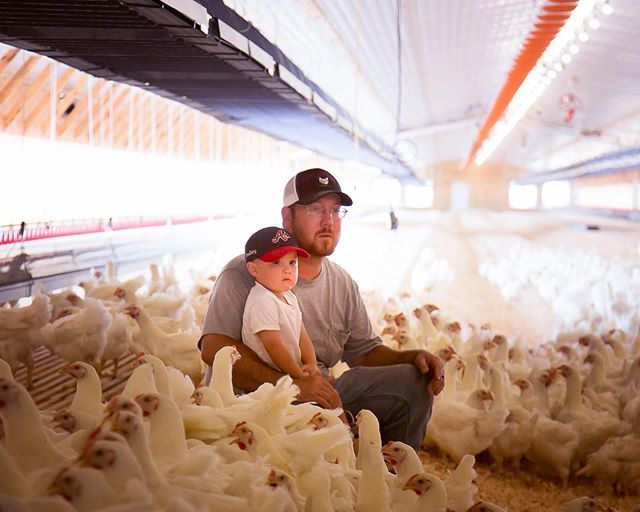 GeorgiaGrown's tweet photo. The future of farming. π
.
.
#lπ·: #GaAgWeek2018 photo contest submission from Mandy W. https://t.co/I3Gd88lkOi https://t.co/fA2kODC6dM