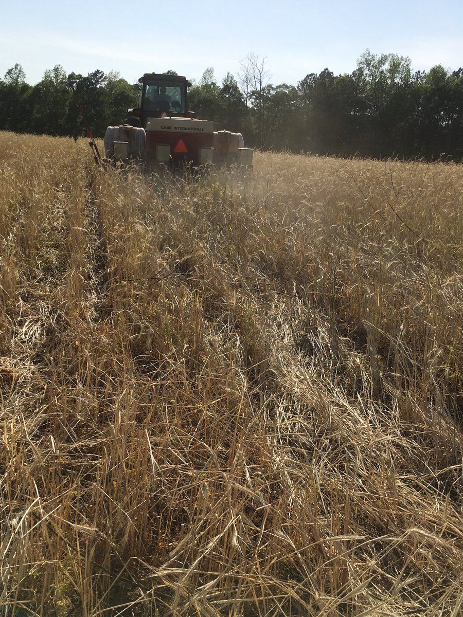 Emily Mueller tweet media