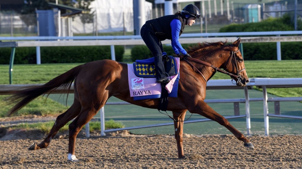 RacingDubai's tweet photo. RAYYA GIVING BAFFERT CONFIDENCE GOING INTO KENTUCKY OAKS
Read: https://t.co/rskAmCEhdl
{📸@MakMathea4}
#DWCCarnival #KentuckyOaks #BobBaffert #DougWatson #UAEOaks #DubaiWorldCup https://t.co/mj1MGZTBpQ