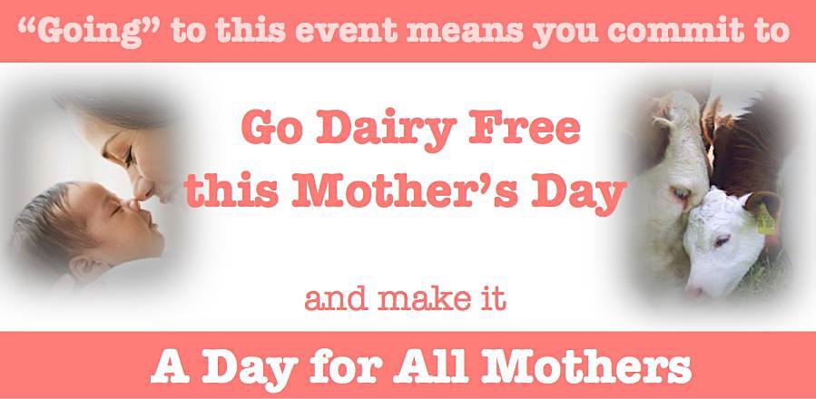AntiDairyMoms's tweet image. Join the millions going dairy-free and make this Mother's Day A Day for All Mothers! Already vegan? Show your solidarity by joining the facebook event: facebook.com/events/2245805…

#ADayForAllMothers #SimpleFoods #ditchdairy