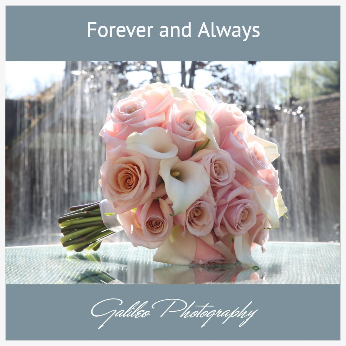 From your #wedding day you will no longer stand or walk alone.  I'd love to capture all the precious moments of your big day through my #photography.  bit.ly/galileophotogr…