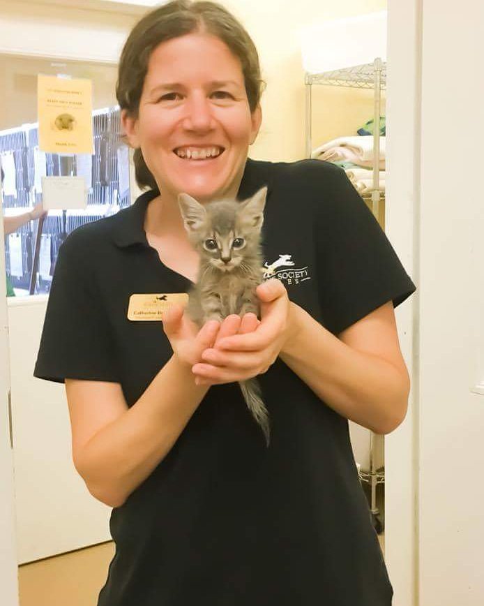 THERE ARE KITTENS EVERYWHERE! 🐱🐱🐱 Seriously, they're everywhere. We are filled with kittens that need a short-term foster home. Pictured is our Foster Manager, Cath, with just one of the many kittens that need urgent placement. Email foster@hsnaples.org to help. #SaveMoreLives