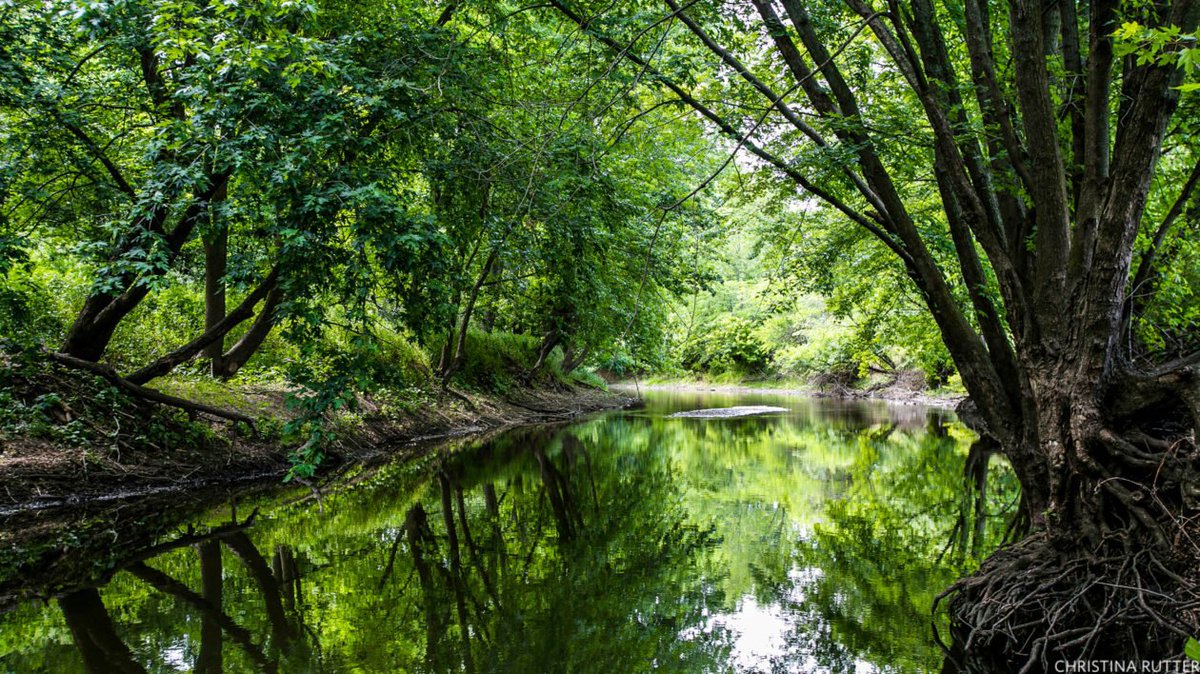 Wetlands (even small ones) near farm fields can reduce chemicals like nitrate that can pollute our drinking water. Go nature! bit.ly/2Kv4wTK