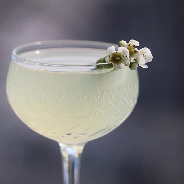 barsolutionmia's tweet photo. Great cocktails, service and exceptional experience for your guests! #barsolution #miamievents https://t.co/d92Ky6jYF5