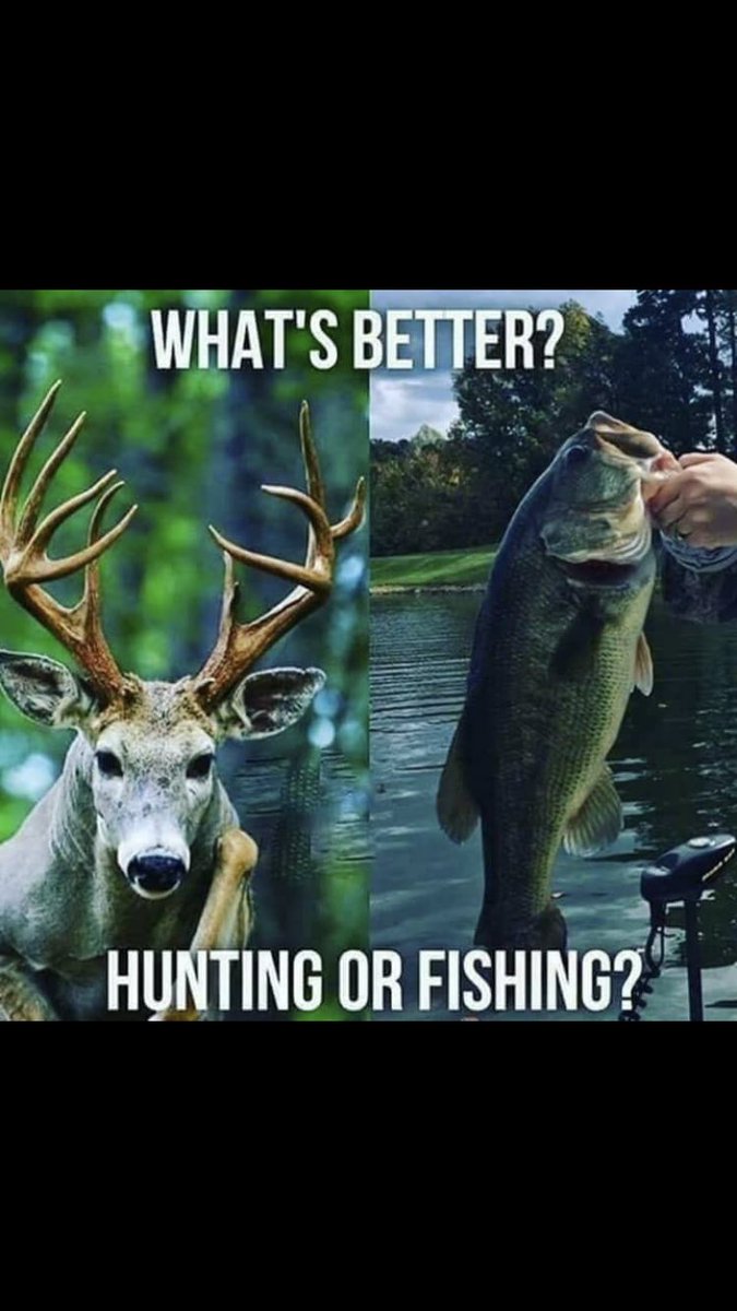 Let’s see! 

RT for Fishing 
Favorite for Hunting