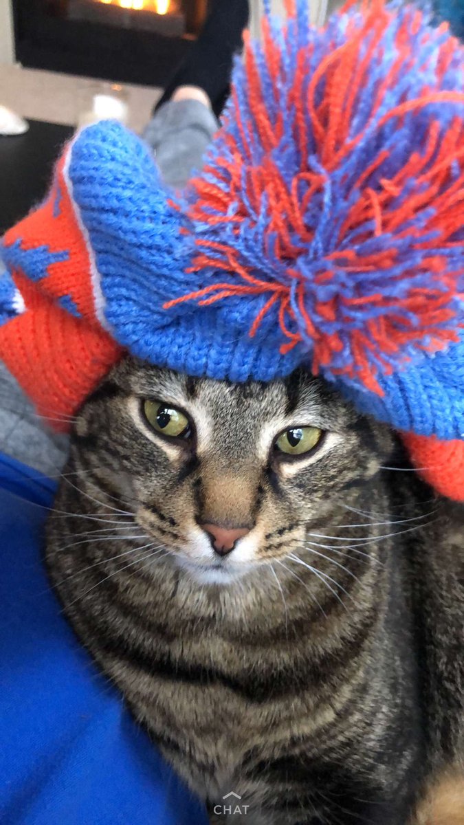 RumpleCrazyCat's tweet photo. Cup of tea please (English accent) ☕️ #hatgamestrong https://t.co/maf6hJeA6Q