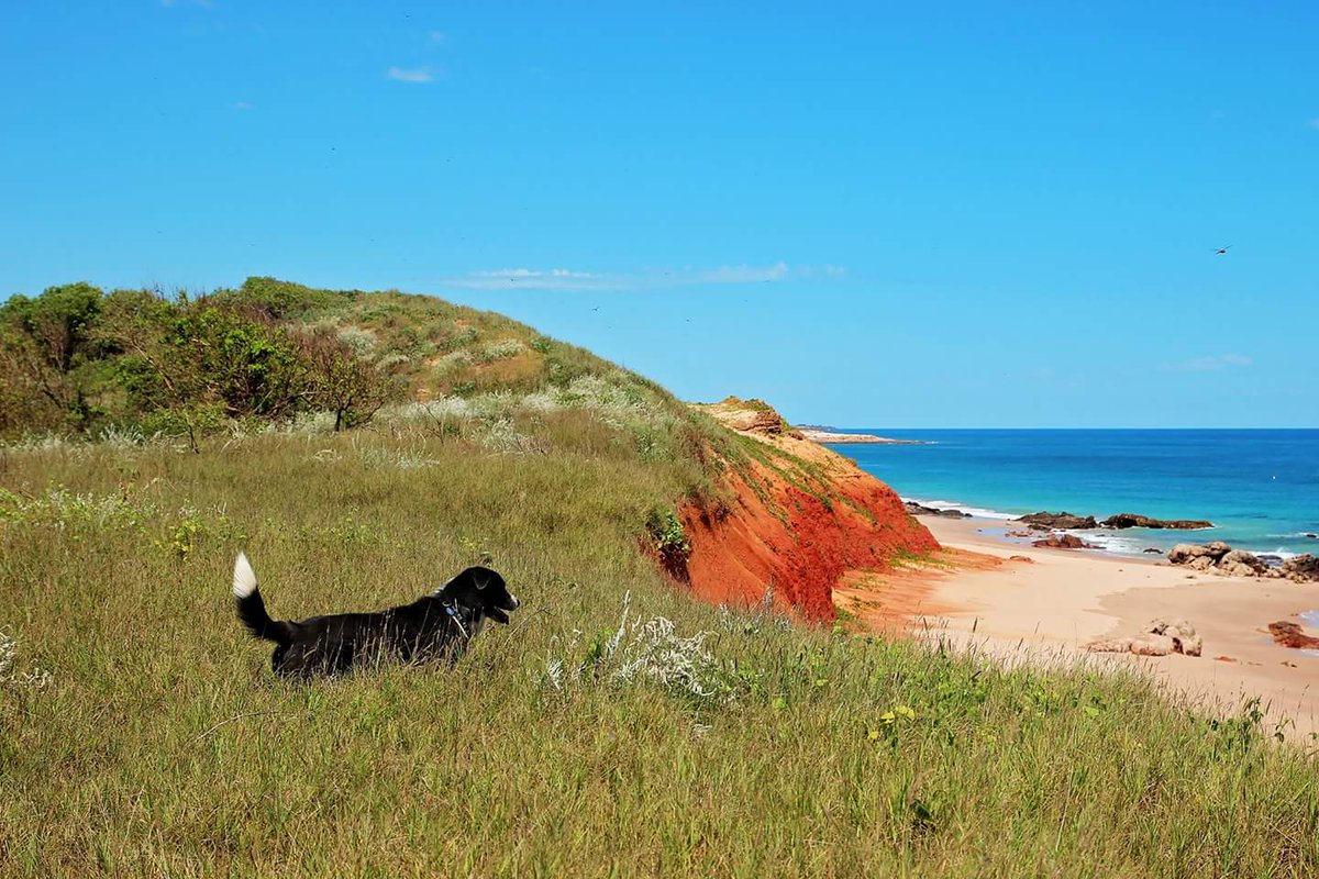 BLKpepperabroad's tweet photo. If you're planning a trip to #westernAustralia check out the #free beaches on the Dampier Peninsula https://t.co/L6aZStNC06 https://t.co/L0xHjwSZYw