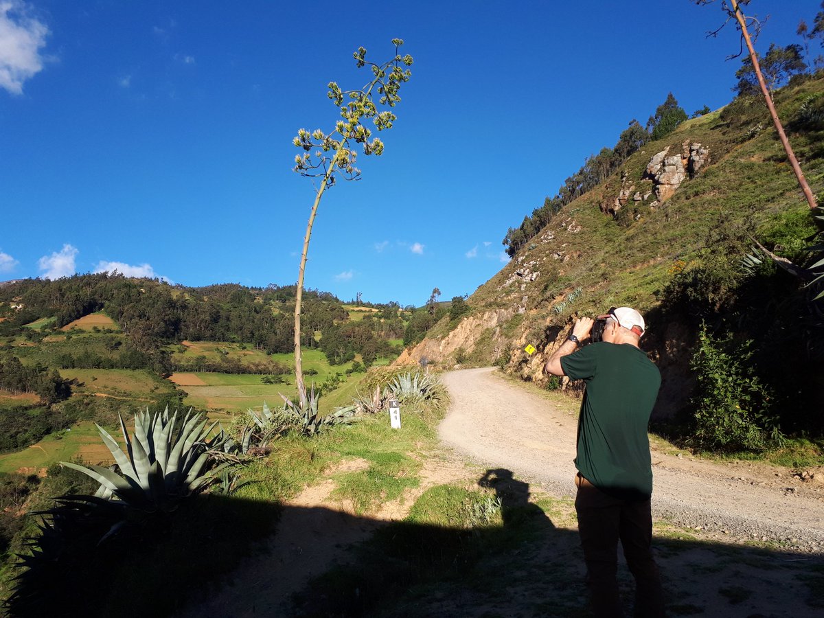 CindyM_Hurtado's tweet photo. Great two days visiting the paramo ecosystem with Robyn and her team @SBC_peru of course also with @cole_burton and @FrancisAurich from the #WildColab https://t.co/M2qRp0Q5fc