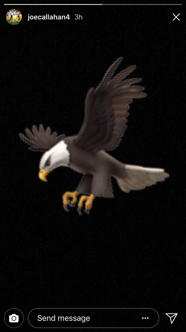 Zach Kruse on Twitter "Either Joe Callahan really likes the eagle