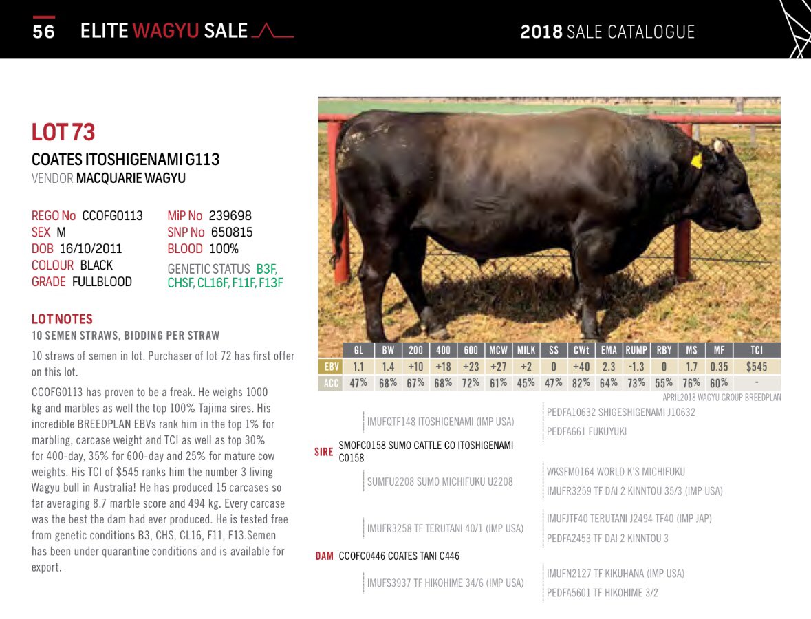 We are all very excited for the Elite Wagyu Sale, starting tomorrow at 3pm 😁 
Please find more information on the following links: 
AWA Home Page: wagyu.org.au
AWA Conference and Tour: wagyu.org.au/2018-conferenc…
AWA Elite Wagyu Sale: wagyu.org.au/elite-wagyu-sa…