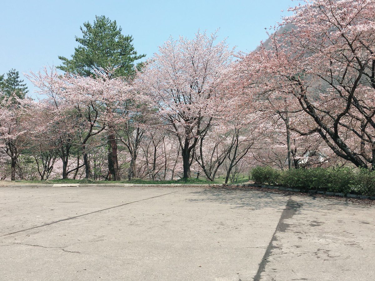 atechboss1's tweet photo. お初ツーリング
#秋田 #山桜 #ベニヤマパーク
#バイク #東北 #ボバースタイル
#旧車 #比内や本店 #比内鶏 #親子丼 https://t.co/d3pOveWD2r