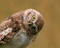 insideloc's tweet image. Another juicy webinar coming up.
Stay tuned 😊
#TranslationTips #MarketingTips