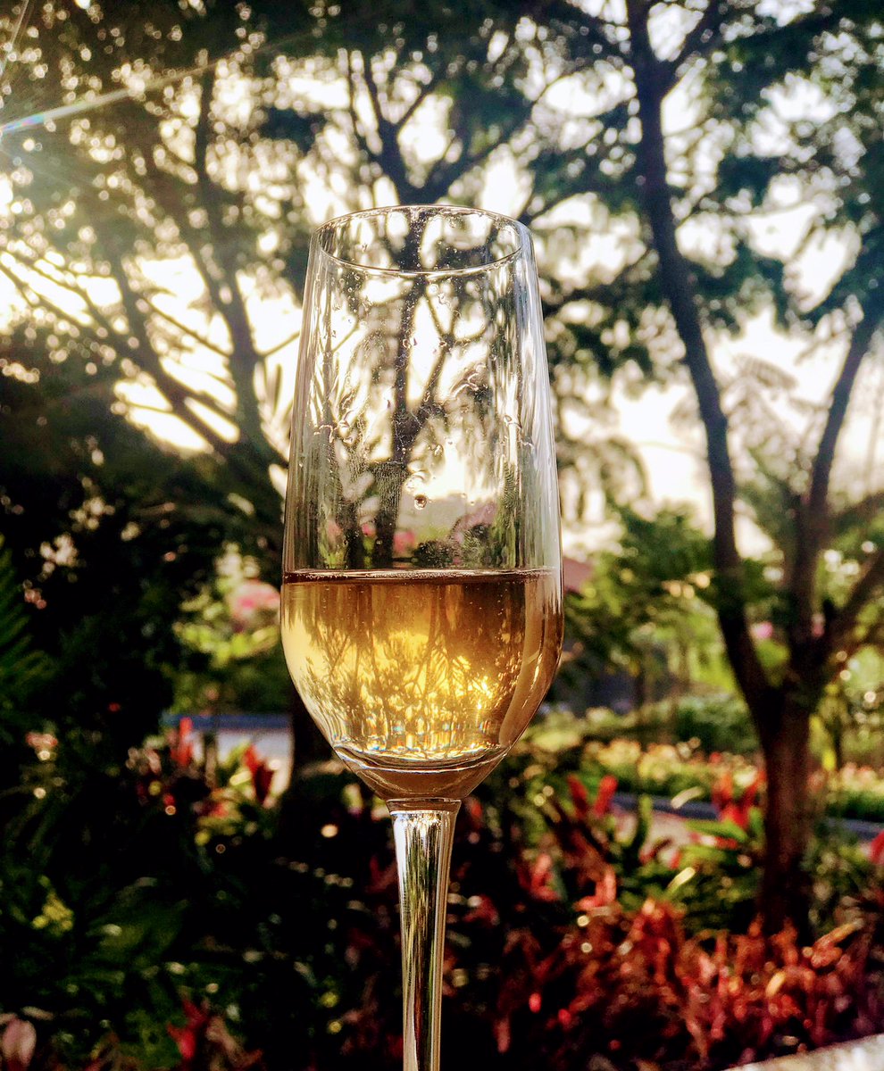 rohanbul's tweet photo. @REMInstitute inaugurates its new office, and #TheAnnetGroup Strategy &amp; Ops leaders meet @SulaVineyards.  #KeyTakeAway – Wine legs or ‘tears’ are not an indication of quality, rather a scientific phenomenon that indicates the alcohol level in wine! Salut @RajeevSula https://t.co/otmQTKIEtV