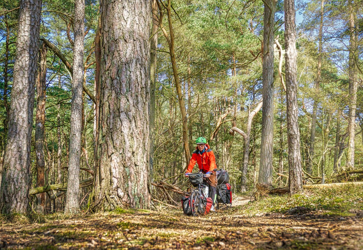 worldbiking's tweet photo. Another fun day bumping along some forest tracks. I love Scandinavia! https://t.co/tDZasSS36e