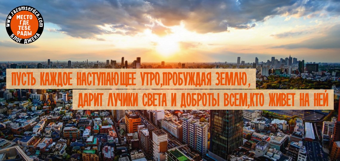 Евгений Добров tweet media