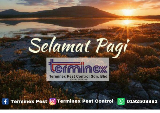 terminexpest's tweet photo. Assalamualaikum https://t.co/dYripDCGXI