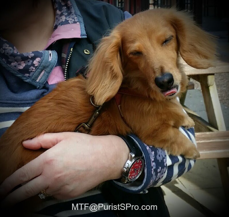 's tweet image. Ode to #Chopard Mille #Miglia 2015 Race Edition
goo.gl/YMMEyg #MilleMiglia #Porsche