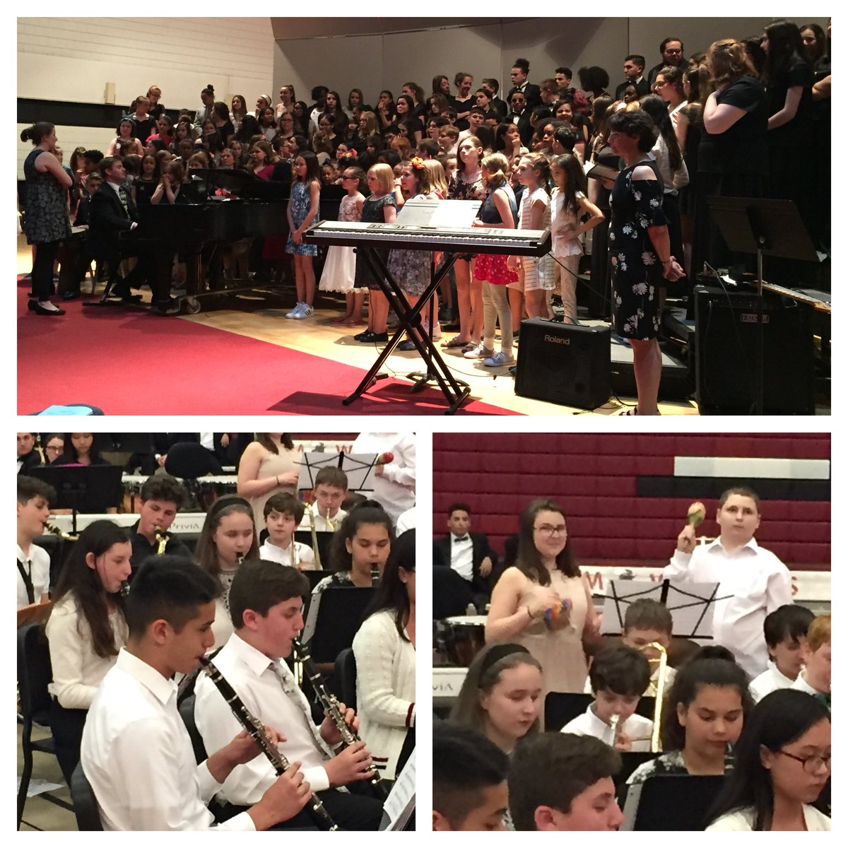 cmshappenings's tweet photo. CMS musicians perform tonight at the SPS All-City Band Concert! #gosharks #cmsband #cmsorchestra #cmschorus #cmsrocks https://t.co/VbGTBRYdRb