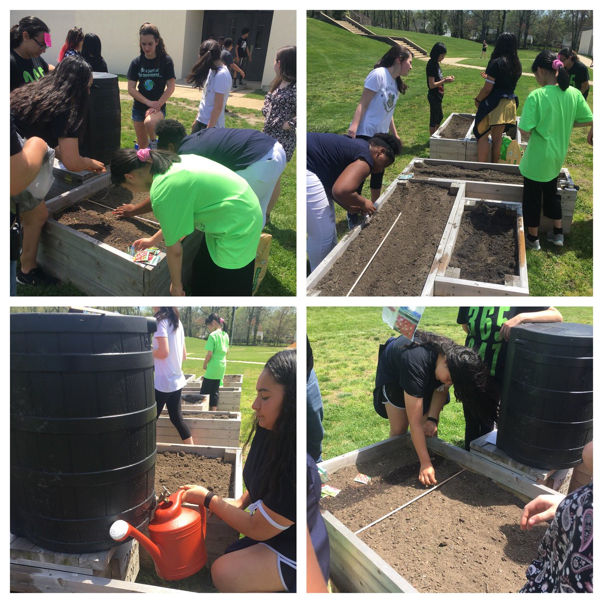 MHTSD_Holbein's tweet image. Green Team planting our school garden with Mr. Iezzi and Mr. O'Donoghue #futuregardeners #electiveclass