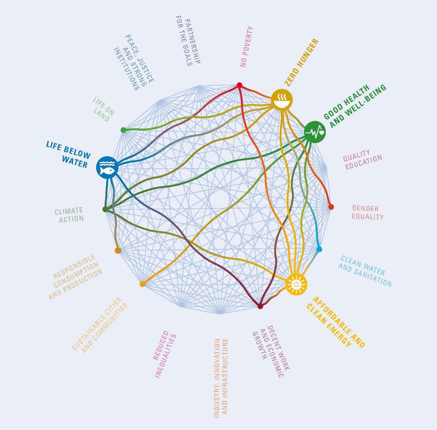 JCU_WHO_CC's tweet photo. As Martin Luther King stated It really boils down to this: that all life is interconnected. So are the #GlobalGoals #SDGs #whocc2018 #JCU #health
#nursing #midwifery #gnwhocc #sustainability #who #global #conference #Cairns #Queensland #education https://t.co/6sEtgE5BdC