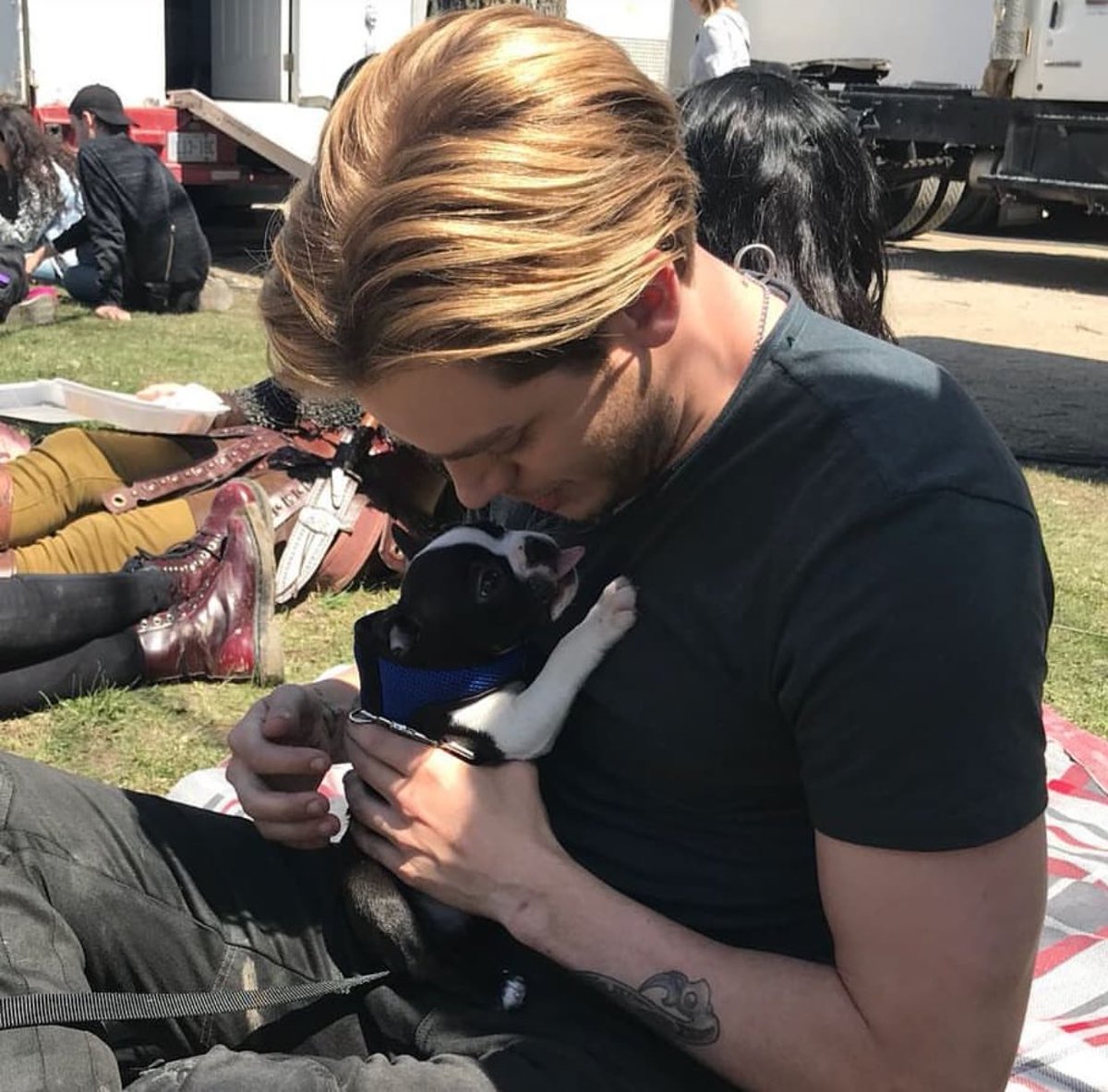 domsherwoodbra's tweet photo. 📸|| Nova foto do @DomSherwood1 no set da S3 com um filhotinho. Socorro!! #shadowhunters. https://t.co/ayD5ghdssp