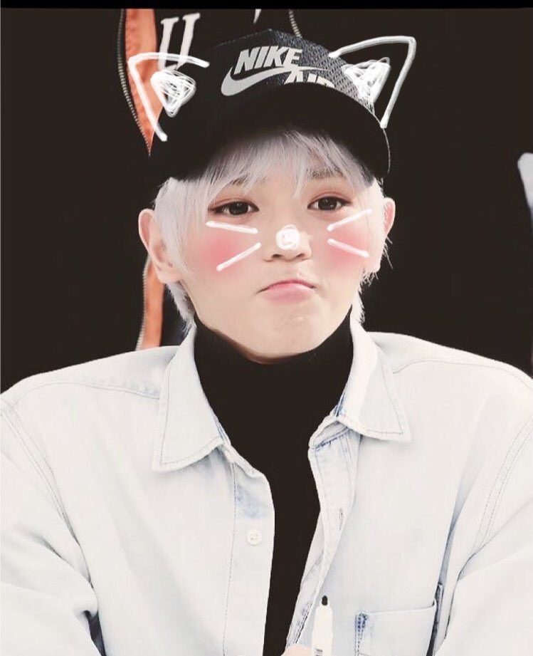 툥냥이♡ tweet media