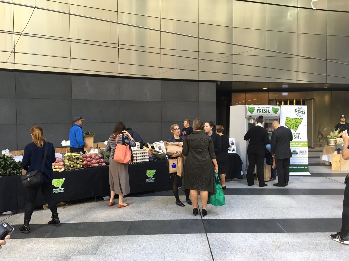 Brendan Rinaldi tweet media