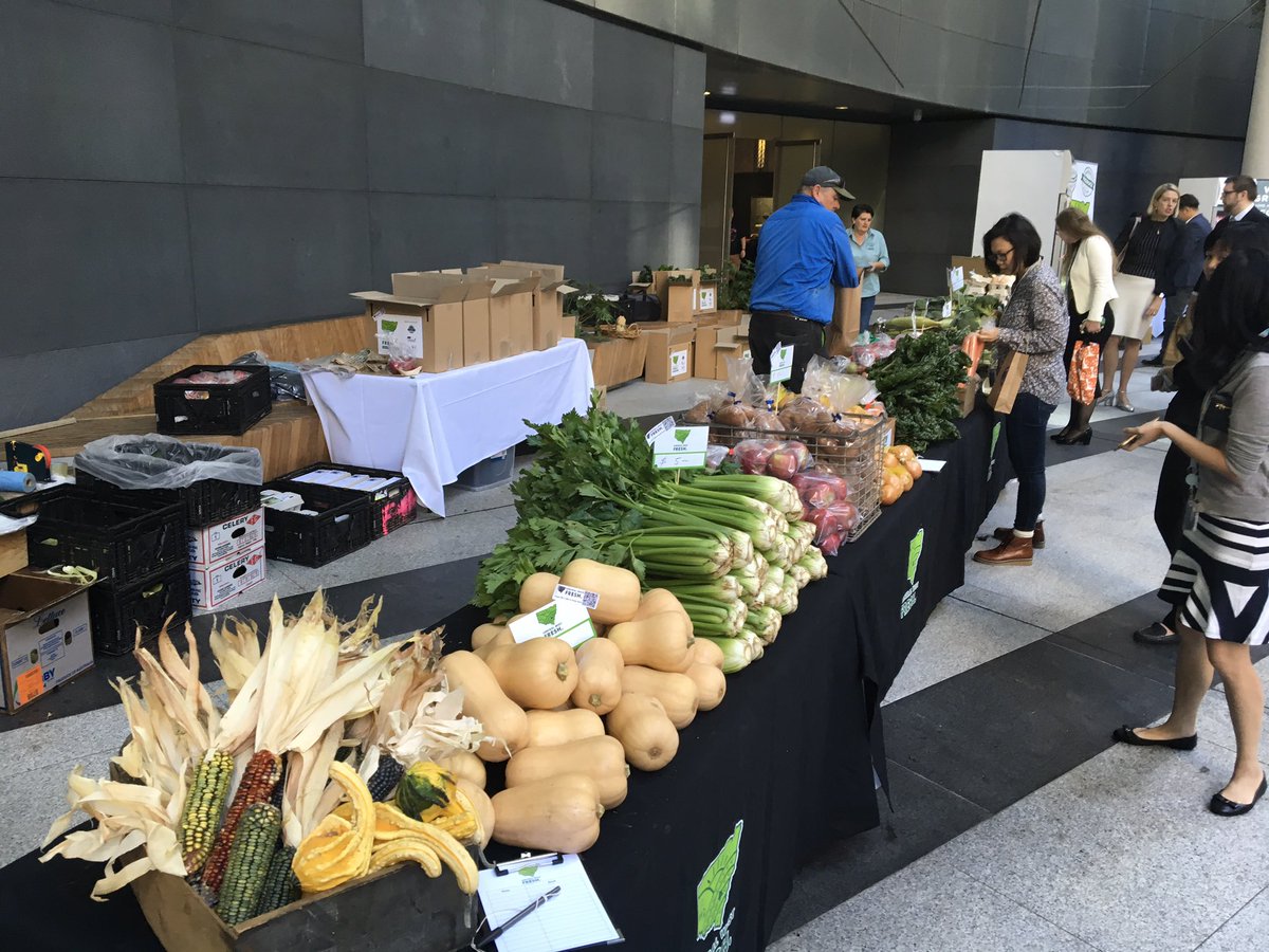 Brendan Rinaldi tweet media