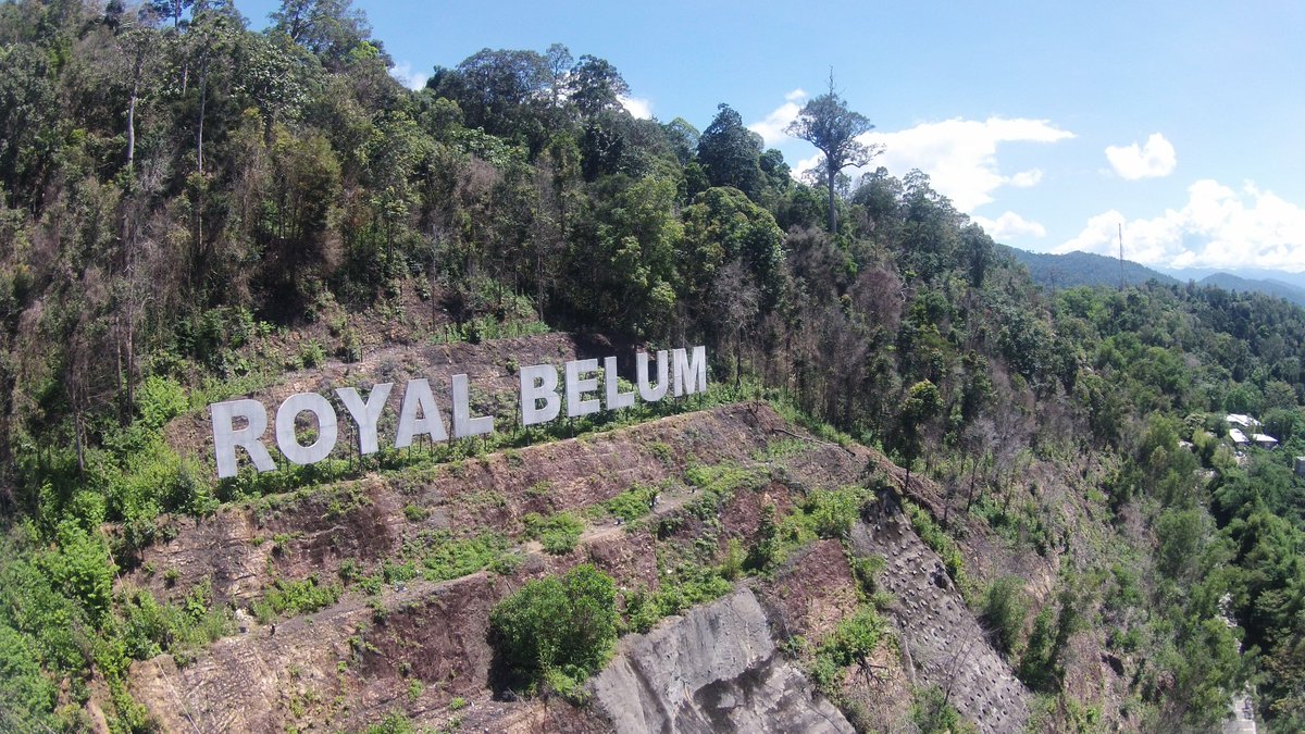 destination_prk's tweet photo. Royal Belum is one of Malaysia's premier ecotourism holiday destinations. Pulau Banding, Royal Belum is everything nature-lovers and holiday-goers expect in a getaway destination.

Check our website at https://t.co/5emxxHEKru

#DestinationPerak #AJourneyWithExperience #RoyalBelum https://t.co/MD1TERQfIv