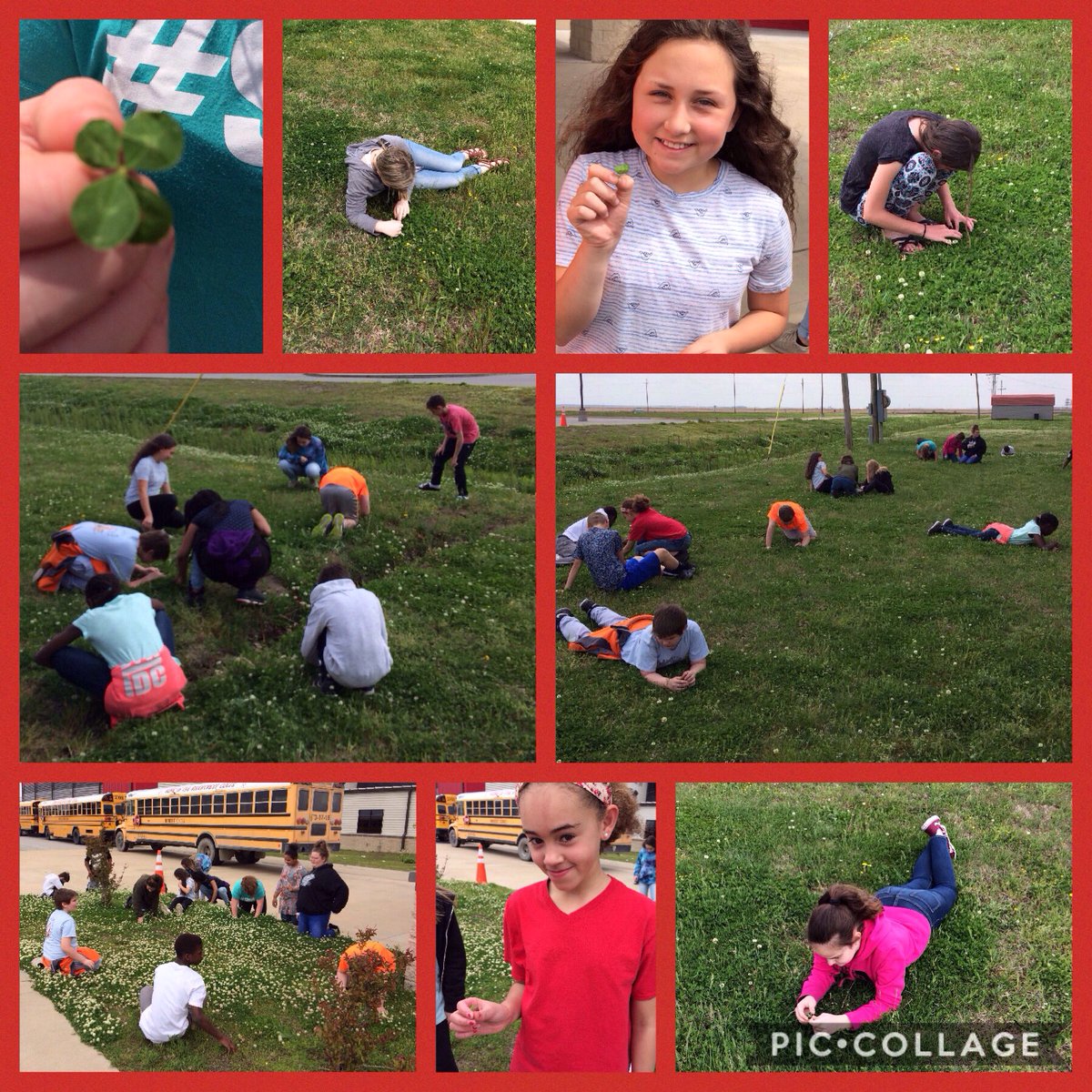 evagriffin10's tweet photo. This is how we celebrate the end of ACT Aspire testing! A nice & friendly Find a 4-leaf Clover competition. They begged for more time to hunt! Girls beat the Boys 3-2 😉 #RelaxingAndRefreshing #5thGrFun @RivercrestSD @ColtCoach1 https://t.co/T8tp8cBXuO