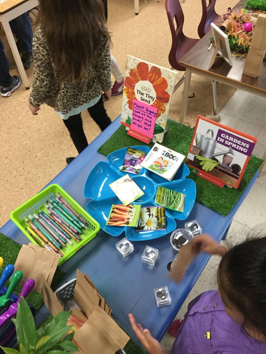 MacellaioFDK3's tweet photo. Preparing for our trip to the garden centre by exploring seeds and the life cycle of a plant 😊🌸🌼🌷#FDKinquiry #FDKscience @DPCDSB_BFA https://t.co/9pxDIgQK6I