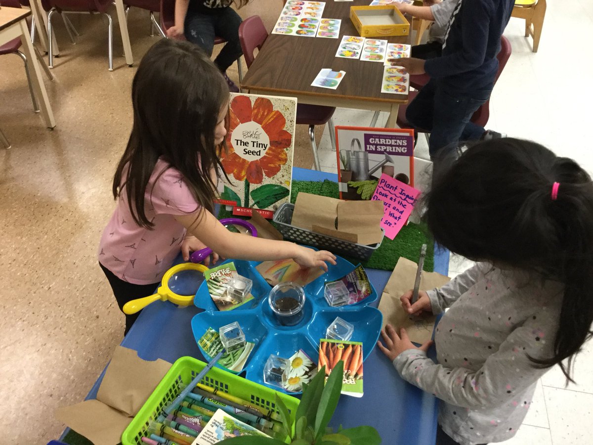 MacellaioFDK3's tweet photo. Preparing for our trip to the garden centre by exploring seeds and the life cycle of a plant 😊🌸🌼🌷#FDKinquiry #FDKscience @DPCDSB_BFA https://t.co/9pxDIgQK6I