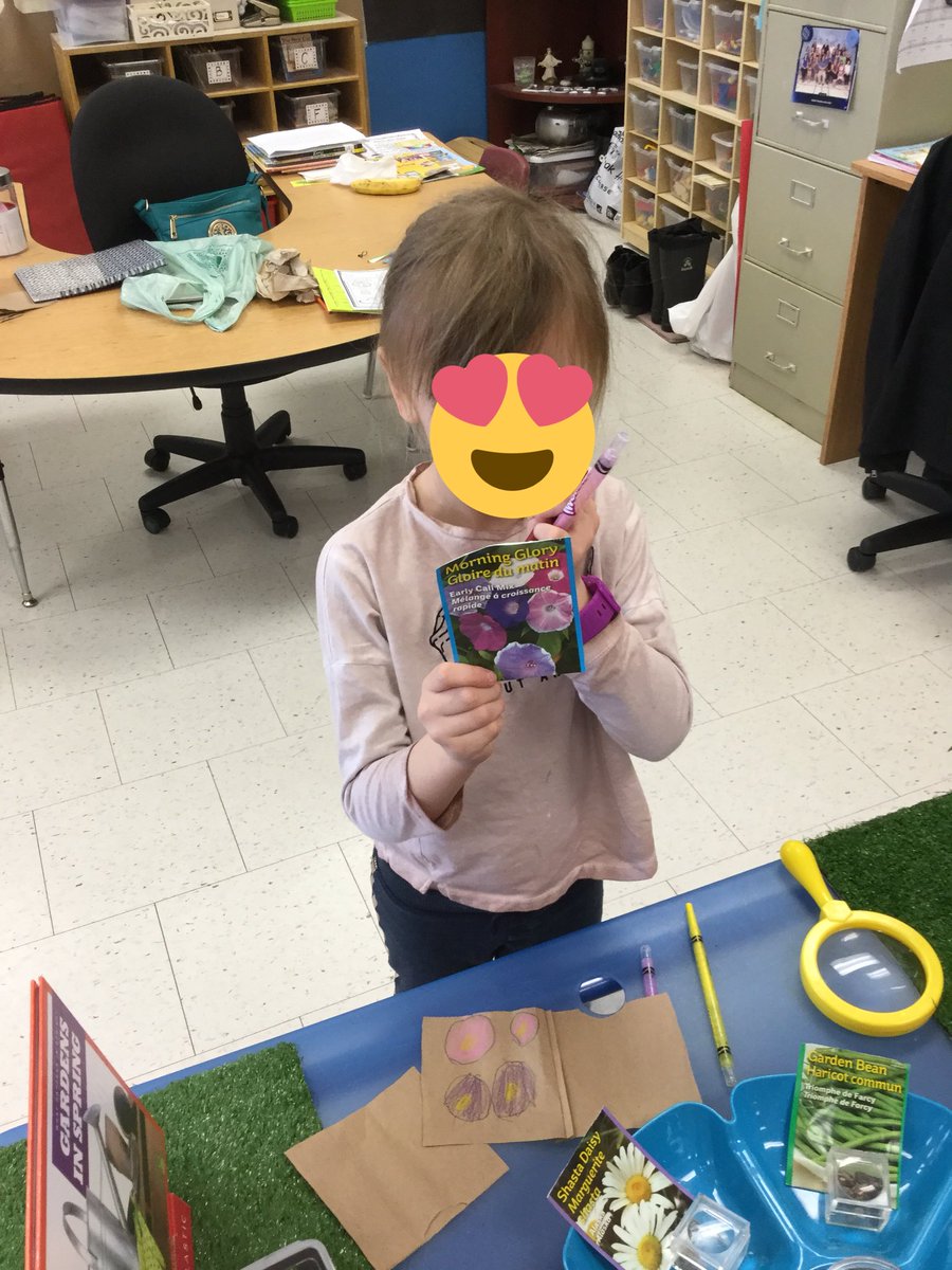 MacellaioFDK3's tweet photo. Preparing for our trip to the garden centre by exploring seeds and the life cycle of a plant 😊🌸🌼🌷#FDKinquiry #FDKscience @DPCDSB_BFA https://t.co/9pxDIgQK6I