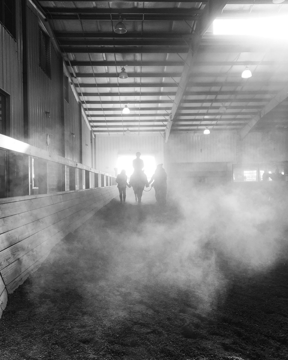 saddleupnash's tweet photo. As the dust settles on a busy day on the farm, there is still time to donate for #BigPayback. Photo credit: @AnnaRobertsonHam  https://t.co/kH0SHB7Gxd https://t.co/8dvDJGeWi1