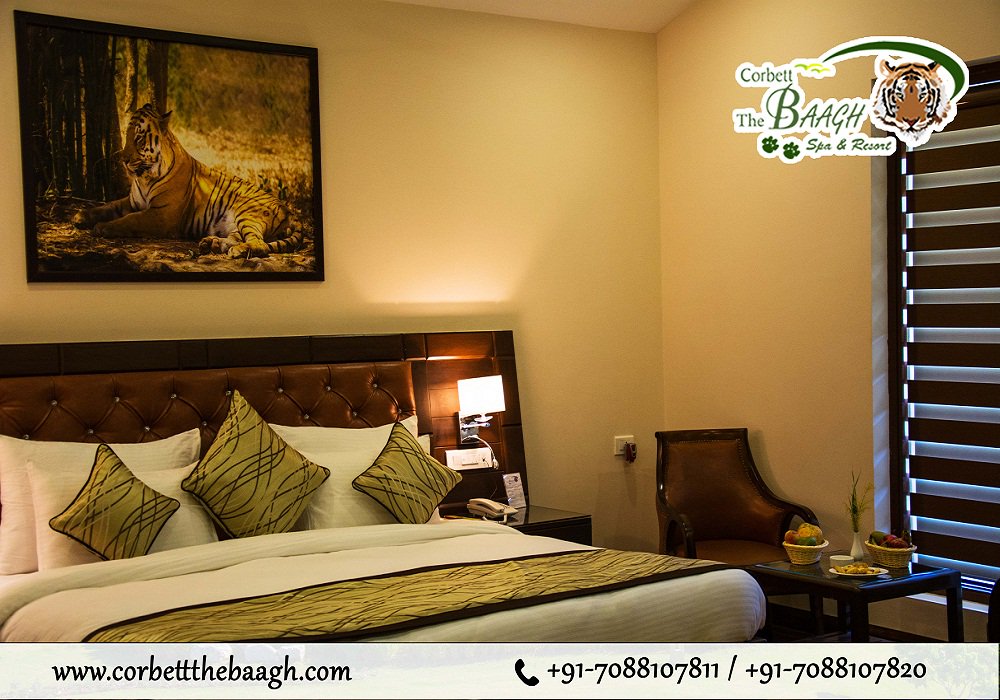 thebaaghcorbett's tweet photo. Open the doors to a #beautiful view of the #mountains with a cool #breeze #touching your face. Experience of #wilderness life and make your #summer #holidays is truly Memorable @thebaaghcorbett @ https://t.co/9J1di5RNSV

#FreeWifi #SwimmingPool #SpaGym #ConferenceHall #SafariDesk https://t.co/InA0KQSMLo
