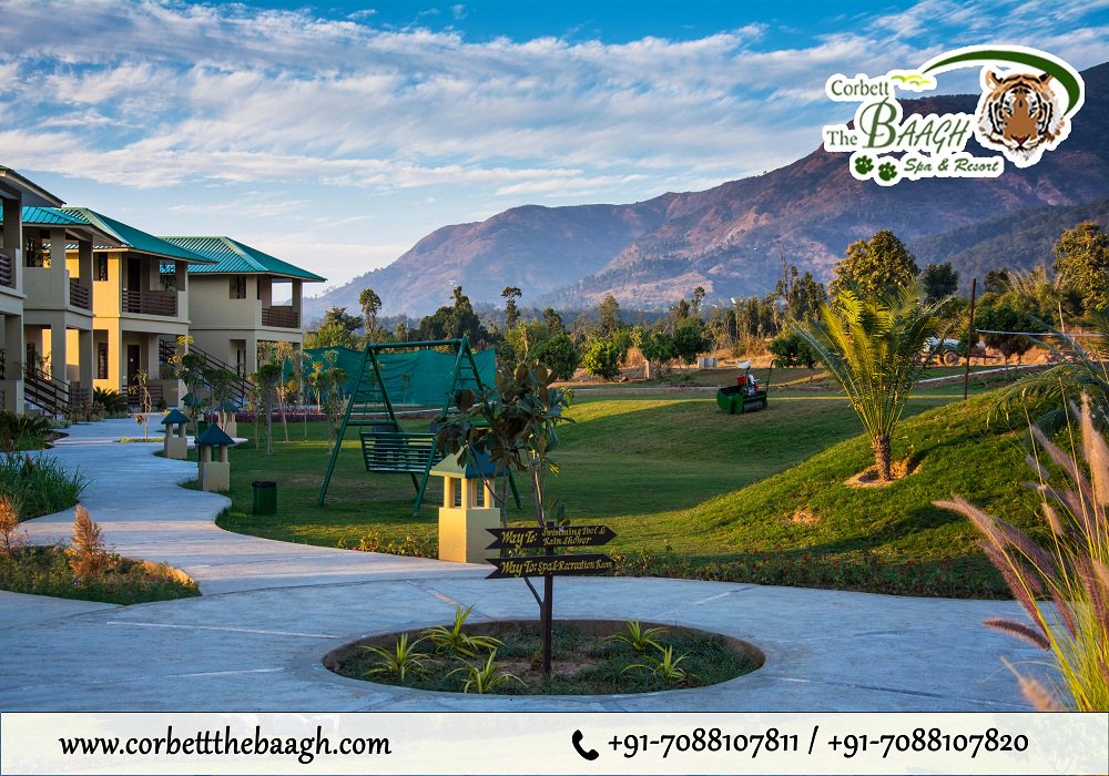 thebaaghcorbett's tweet photo. Open the doors to a #beautiful view of the #mountains with a cool #breeze #touching your face. Experience of #wilderness life and make your #summer #holidays is truly Memorable @thebaaghcorbett @ https://t.co/9J1di5RNSV

#FreeWifi #SwimmingPool #SpaGym #ConferenceHall #SafariDesk https://t.co/InA0KQSMLo