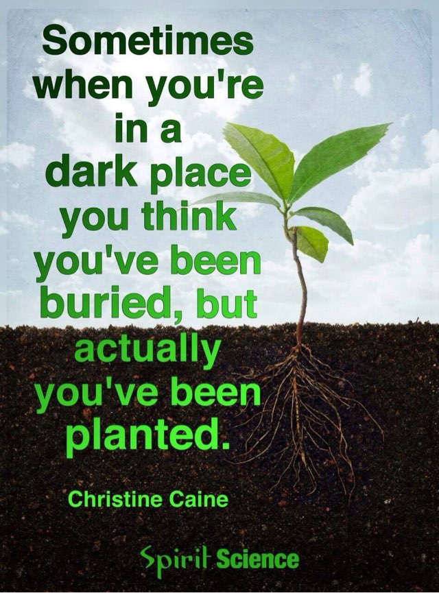 JohnMcGrathMB's tweet photo. In every Challenging Situation,
There lies the Seeds of
Something Great
#inspiration #StrongmanJohn #WednesdayWisdom https://t.co/ZmB4nCHmUi