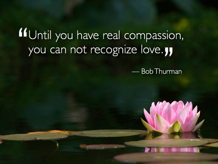 jplastow's tweet photo. Without COMPASSION, where would we be? #thehumilityfactor #humbleintelligence https://t.co/wRo3xkqrLP