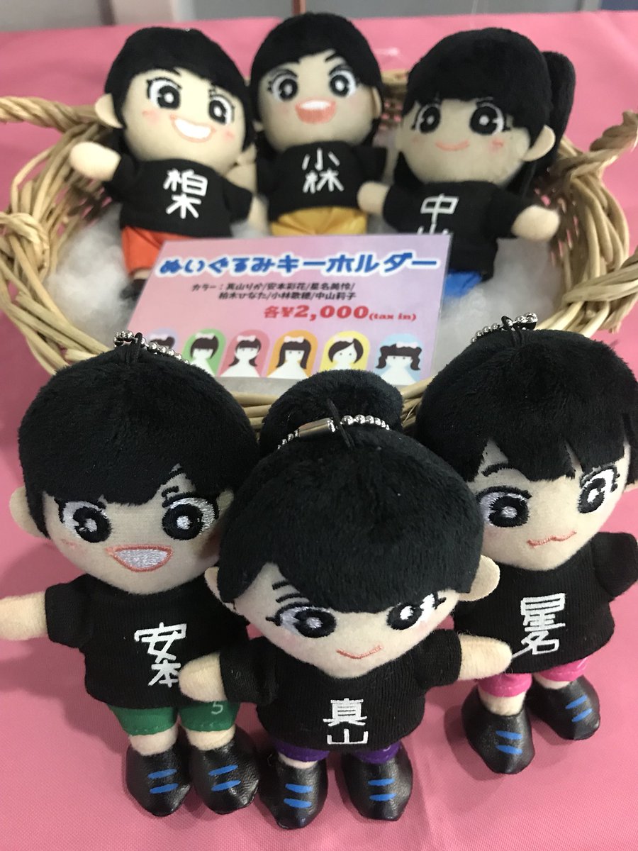 私立恵比寿中学 秋田分校2017 ぬいぐるみ全7種　メルカリでのみ出品 私立恵比寿中学 秋田分校2017 ぬいぐるみ全7種 メルカリでのみ出品