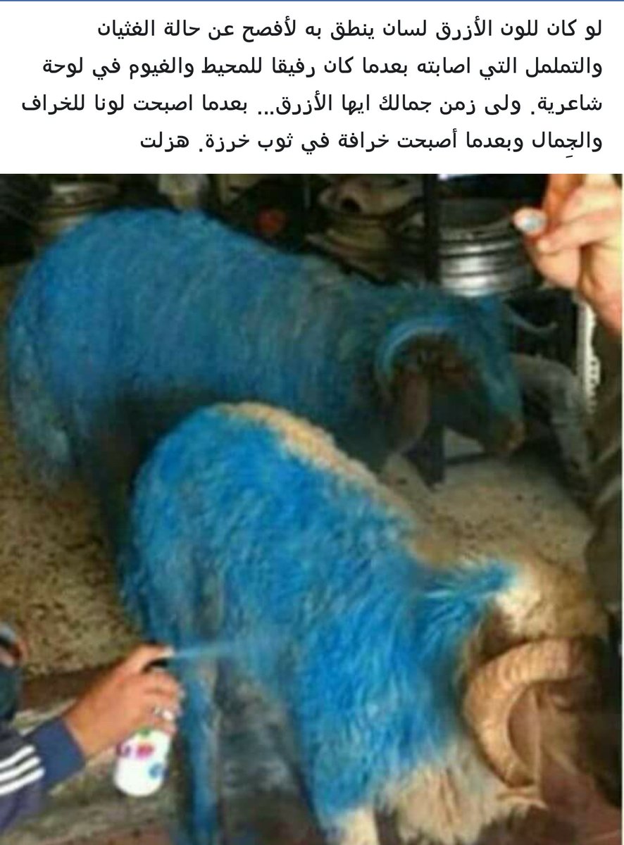 Yasoub80M's tweet photo. @RonaHalabi  https://t.co/4rNd0szFns