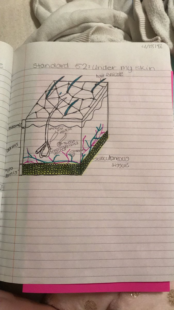 02Trotter's tweet photo. Standard 52 under my skin #rhsbms https://t.co/NTUH15645J