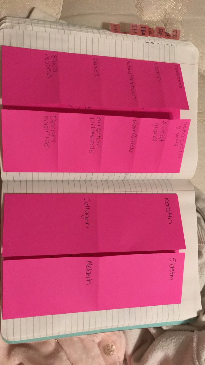 02Trotter's tweet photo. Standard 52 under my skin #rhsbms https://t.co/NTUH15645J