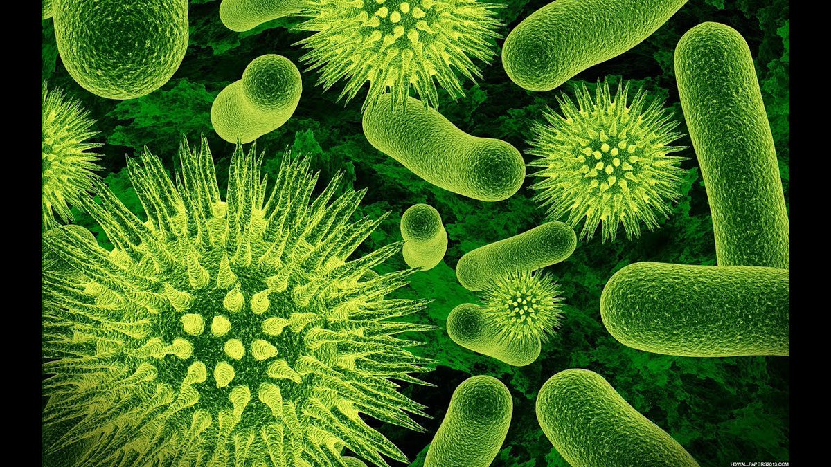 NDocumentarios's tweet image. Vírus Mutantes: Assassinos Microscópicos (Documentário Dublado) #Documentário #Netdocumentario b2s.pm/YIoF9u