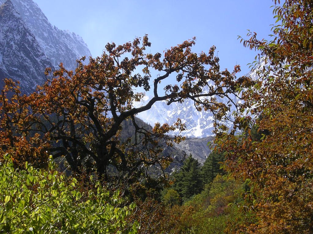 AsianWildlife's tweet photo. After a day long trek when one realise he is resting at nature’s beautiful spectacle #pangot #uttarakhand #asianadventures #northindiabirdwatchingtour #greycrownedprinia #birdingupdate+91-9266519519,info@asianadventures.in, https://t.co/cXz5aes6aC https://t.co/1Tk0BPvSgN